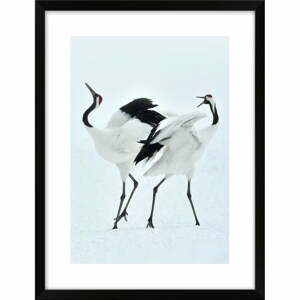Plagát 30x40 cm Dancing Herons