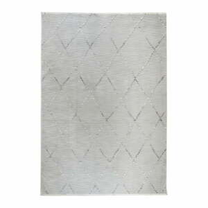 Sivý koberec 60x110 cm Jaipur – Webtappeti