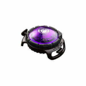 LED svetlo na obojok Purple – Orbiloc