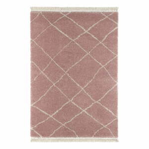 Ružový koberec 120x170 cm Bertha – Hanse Home