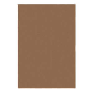 Koňakovohnedý koberec 80x150 cm – Flair Rugs