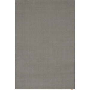 Sivý vlnený koberec 160x240 cm Calisia M Smooth – Agnella