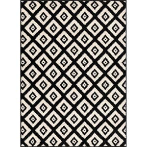 Čierno-biely koberec 160x220 cm Avanti – FD