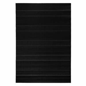 Čierny vonkajší koberec Hanse Home Sunshine, 200 x 290 cm