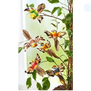 6 dekoratívnych vtáčikov