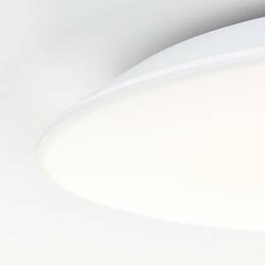 Stropné LED svetlo Colden biela, on/off, Ø 29 cm